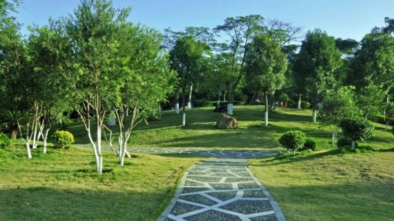 必一·运动 城市绿化建设资讯配图
